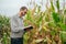 Agronomist holds tablet touch pad computer in the corn field and examining crops before harvesting. Agribusiness concept.