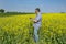 Agronomist inspecting quality of canola field