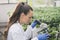 Agronomist with microscope in greenhouse