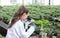 Agronomist with microscope in greenhouse