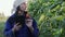 Agronomist passes in the field and analyzes the green ears of corn with a tablet in his hands