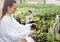 Agronomist with seedling in flower pot in greenhouse