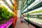 Agronomist sitting near shelves while growing lettuce