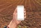 Agronomist with smartphone mock up screen in corn field