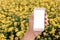 Agronomist with smartphone mock up screen in oilseed rape field