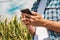 Agronomist typing text message on smartphone out in corn field