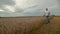 Agronomist in white t-shirt and jeans walking in wheat field.