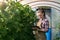 Agronomist woman conducts inspection of cucumbers and puts indicators in tablet.