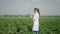 Agronomist At Work In A Field Using A Digital Tablet