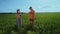 Agronomists a man and a woman in a field inspect crops of crops and record observations