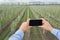 Agronomists use smartphones in farm, owner collect data, gardener blogger makes photo