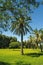 Agua Caliente Park - Tucson Oasis with Palm Trees