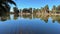 Agua Caliente Regional Park in Tucson Arizona, reflection of palm trees in the water.