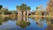 Agua Caliente Regional Park in Tucson Arizona, reflection of palm trees in the water