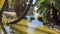 Agua Caliente Regional Park in Tucson Arizona, reflection of palm trees in the water.