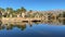 Agua Caliente Regional Park in Tucson Arizona, reflection of palm trees in the water.