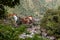 Aguas Calientes town in the Urubamba River Valley, in southeast Peru