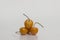 Aguaymanto - Physalis peruviana - Golden Berry still life