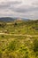 Aguilar Cathar Castle on a Cloudy Spring Day in Aude, France