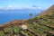 AGULO, LA GOMERA, SPAIN: Cultivated terraced fields near Agulo village with the Atlantic Ocean and Teide volcano in Tenerife Isla