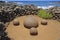 Ahu Te Pito Kura (Navel of the World) Rapa Nui