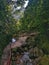 Ahuashiyacu path to the waterfalls in Tarapoto. San Martin. Peru