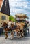 Ahus Horseand Cart Tour Guide