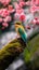 AI creates clear images of Blue-tailed bee-eater, bee-eater, Merops philippinus, birds