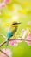 AI creates clear images of Blue-tailed bee-eater, bee-eater, Merops philippinus, birds