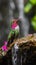 AI creates image of hummingbird flying and drinking nectar from flower pollen, cherry blossom