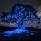 AI creates images of beach, sea, Bioluminescent Algae Mystical Grand tree,midnight beach, with sand swirling around in a low-angle