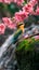 AI creates images of Blue-tailed bee-eater, Merops. philippinus,