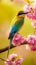 AI creates images of Blue-tailed bee-eater, Merops. philippinus,