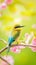 AI creates images of Blue-tailed bee-eater, Merops. philippinus,