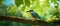 AI creates images of A fish jumped out of the water, and a small emerald green bird