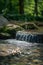 AI creates images of a fountain of water in a sunny,summer forest, dewy green grass, shiny reflective drops of water