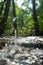AI creates images of a fountain of water in a sunny,summer forest, dewy green grass, shiny reflective drops of water