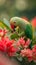 AI creates images of a green parrot