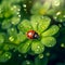 AI creates images of ladybugs sitting on flower stamens and Clover leaves.