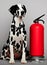 AI Dalmatian with fire extinguisher