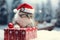 AI generated. Adorable gray cute funny little cat sitting with gift present box on Christmas festive background