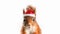 AI generated animation of the red squirrel in a Santa Claus hat saying something while looking into the camera. A