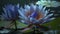 AI Generated art Blue water lily nymphaea lotus flowers