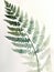 Ai Generated Art Watercolor Painting of an Abstract Fern Leaf Isolated on the White Background in Bright Pastel Sage Green