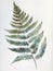 Ai Generated Art Watercolor Painting of a Single Fern Leaf Isolated on the White Background in Bright Pastel Sage Green Colors