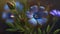 AI Generated Beautiful blue flax linum perenne flowers