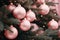 AI generated. Close up of pastel pink Christmas tree toy ball decoration on a fluffy fir branch