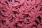 AI generated. Close up of pink carved wooden branches and plants background