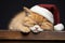 AI generated. Close up portrait of red Persian cat in Santa Claus hat sleeping on wooden brown table background