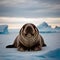 AI generated close-up portrait shot of a walrus from an icy landscape